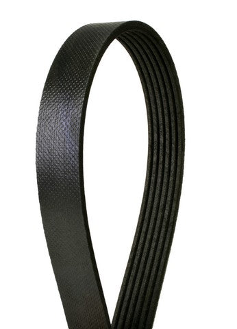 Serpentine Belt Continental 4060952