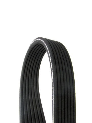 Serpentine Belt Continental D4071135